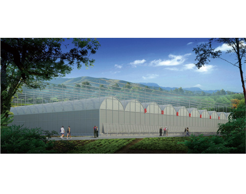 澳门新威斯尼斯人平台